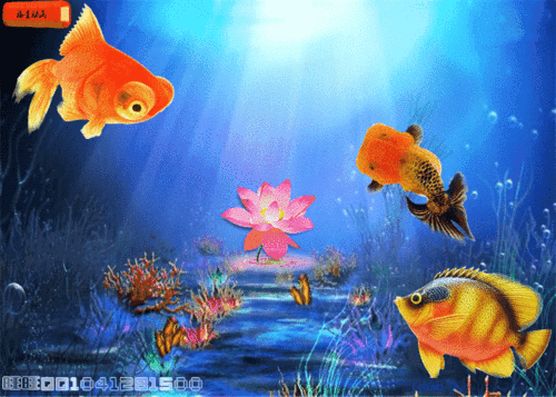 700_500gif 动态图 动图