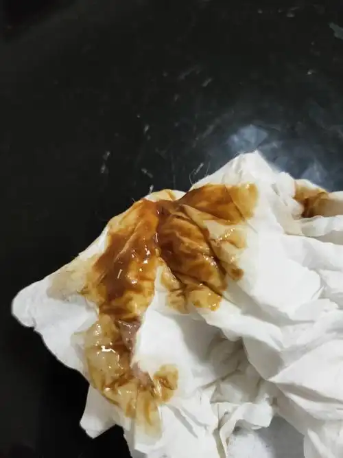 讨论有图慎入猫咪吐了褐色的呕吐物