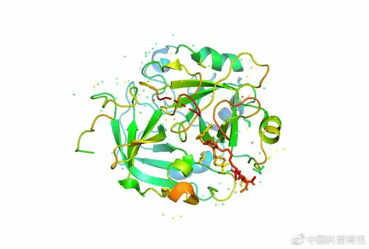 图:蛋白质分子的3d模型(图片来源:视觉中国)