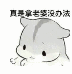真是拿老婆没办法_老婆_真是_办法表情