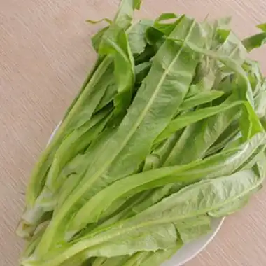 这种常被扔掉的菜叶子,竟有绿色精灵的美誉,常吃还能除口臭_莴笋