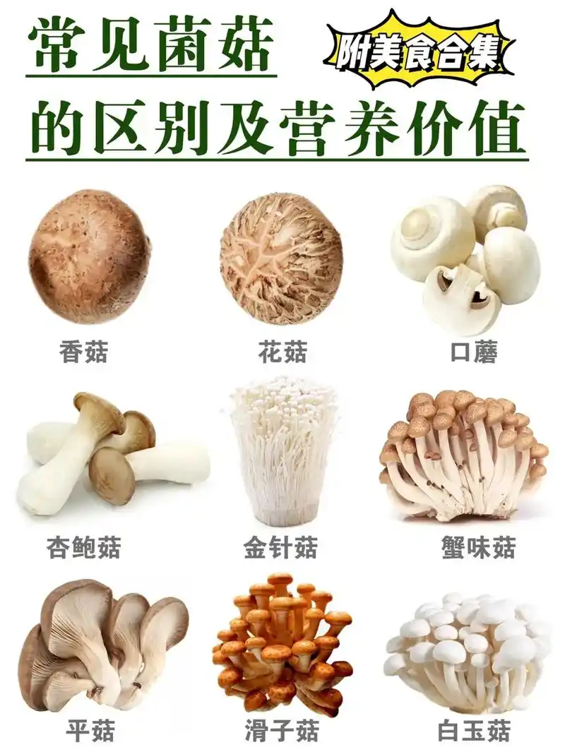 营养健康 #吃出健康 #健康科普  不同菇类的区别和营养价 - 抖音