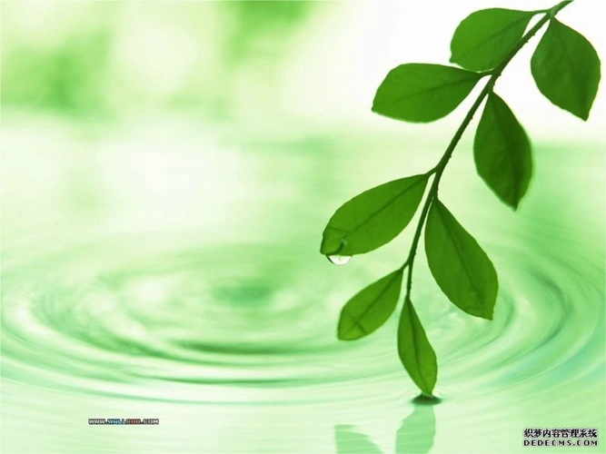 淡雅清新实用系列模板_好看的幻灯片模板ppt模板.ppt