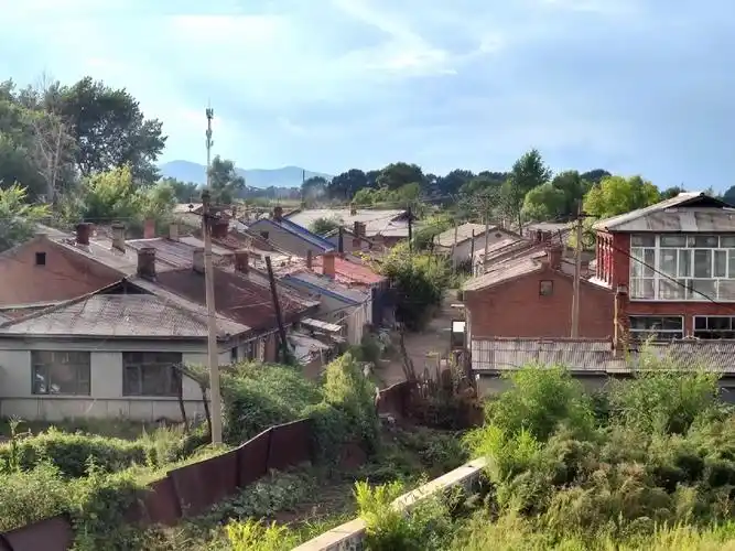 825双鸭山福利屯