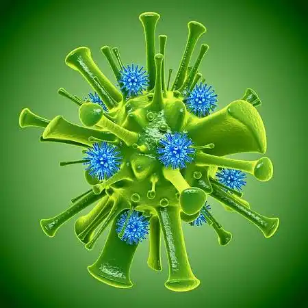 病毒图片_图片大全