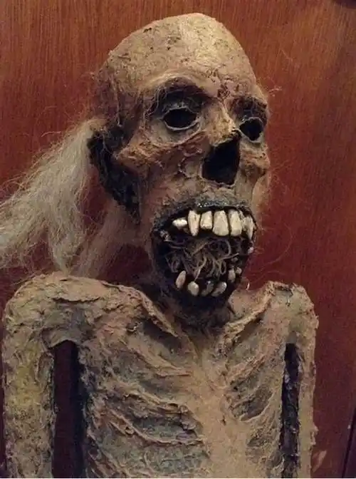 干尸木乃伊高清照片mummymummyhd