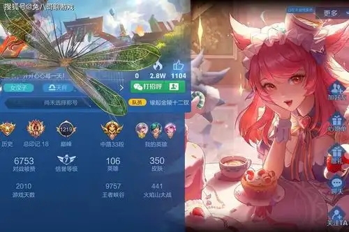 王者荣耀个人主页展示皮肤怎么选女孩子大爱女仆咖啡直男选机甲