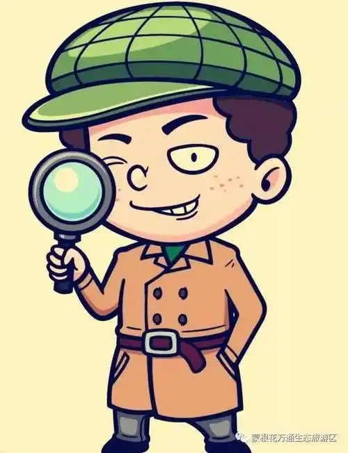 科学小侦探是一种怎样的体验?_手机搜狐网