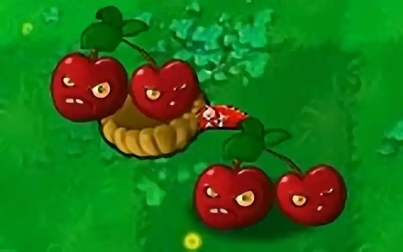 活动作品新植物樱桃炸弹投手