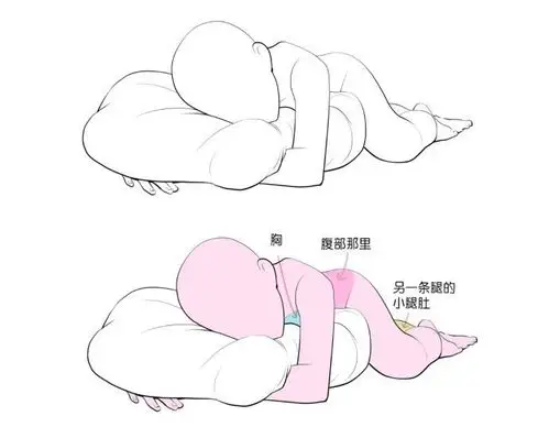 各种常用睡姿动作绘画参考与绘画要点