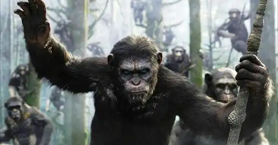 猩球崛起3最后谁赢了 揭秘主角凯撒死了吗