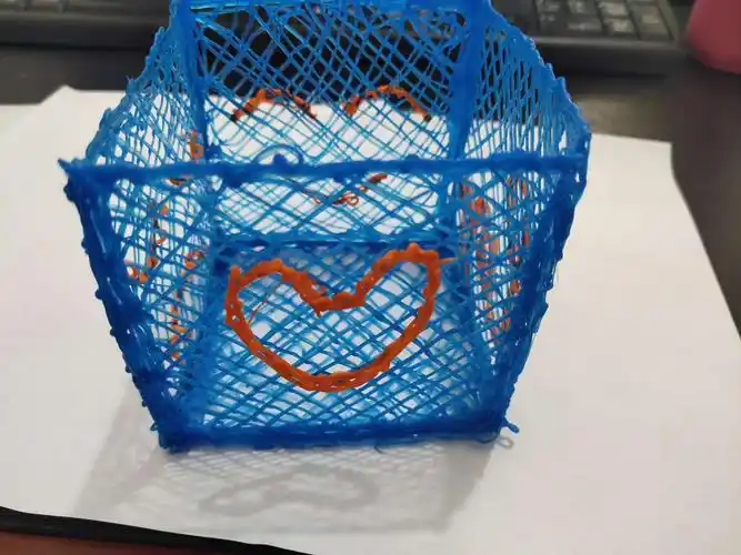 殷都区正心小学二年级3d打印社团期末作品展示