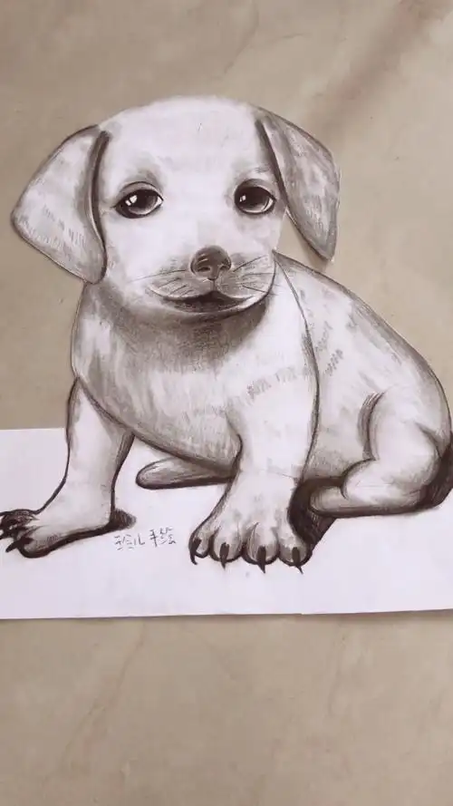 3d立体画小奶狗你喜欢吗?