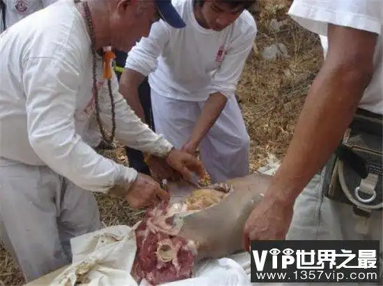 泰国食人宴必须是刚咽气的,这是死者最后的遗愿