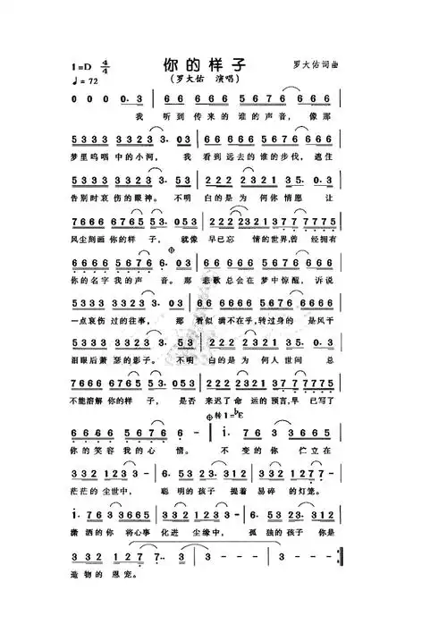 你的样子简谱