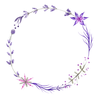 紫色花圈图片素材