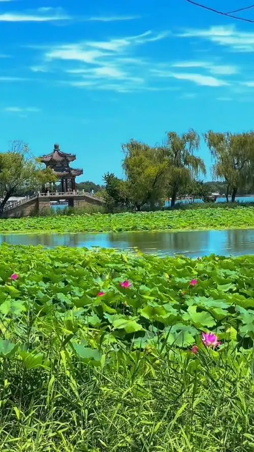 北京夏日美景
