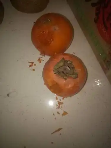 大家帮看看是老鼠还是蟑螂咬的