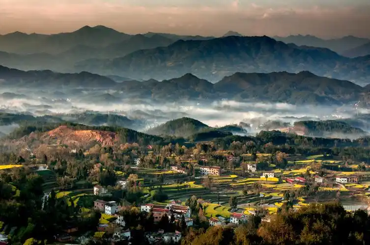 妩媚多情-汉中市南郑县内春天的汉山妩媚多情:山坳中,梯田里,黄灿灿的