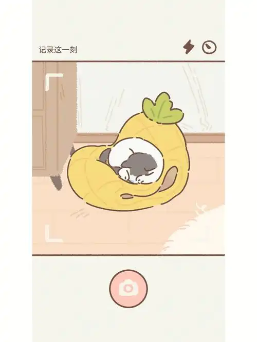 遇见你的猫快来加好友