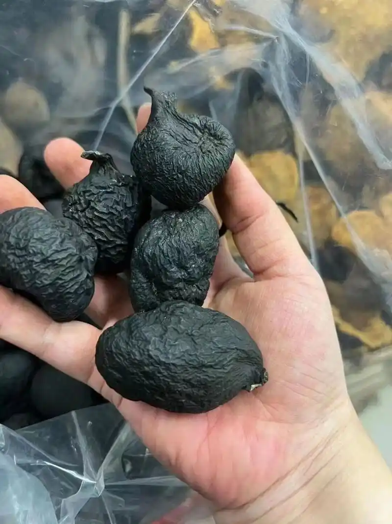 野生乌灵参 稀见可遇不求国宝野生乌灵参:肾补壮阳,失眠,补脑,通心