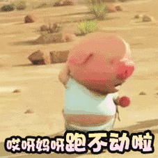 我小猪跑不动啦 - 最新版「小猪快跑」表情包 67_小猪快跑_gif_动图