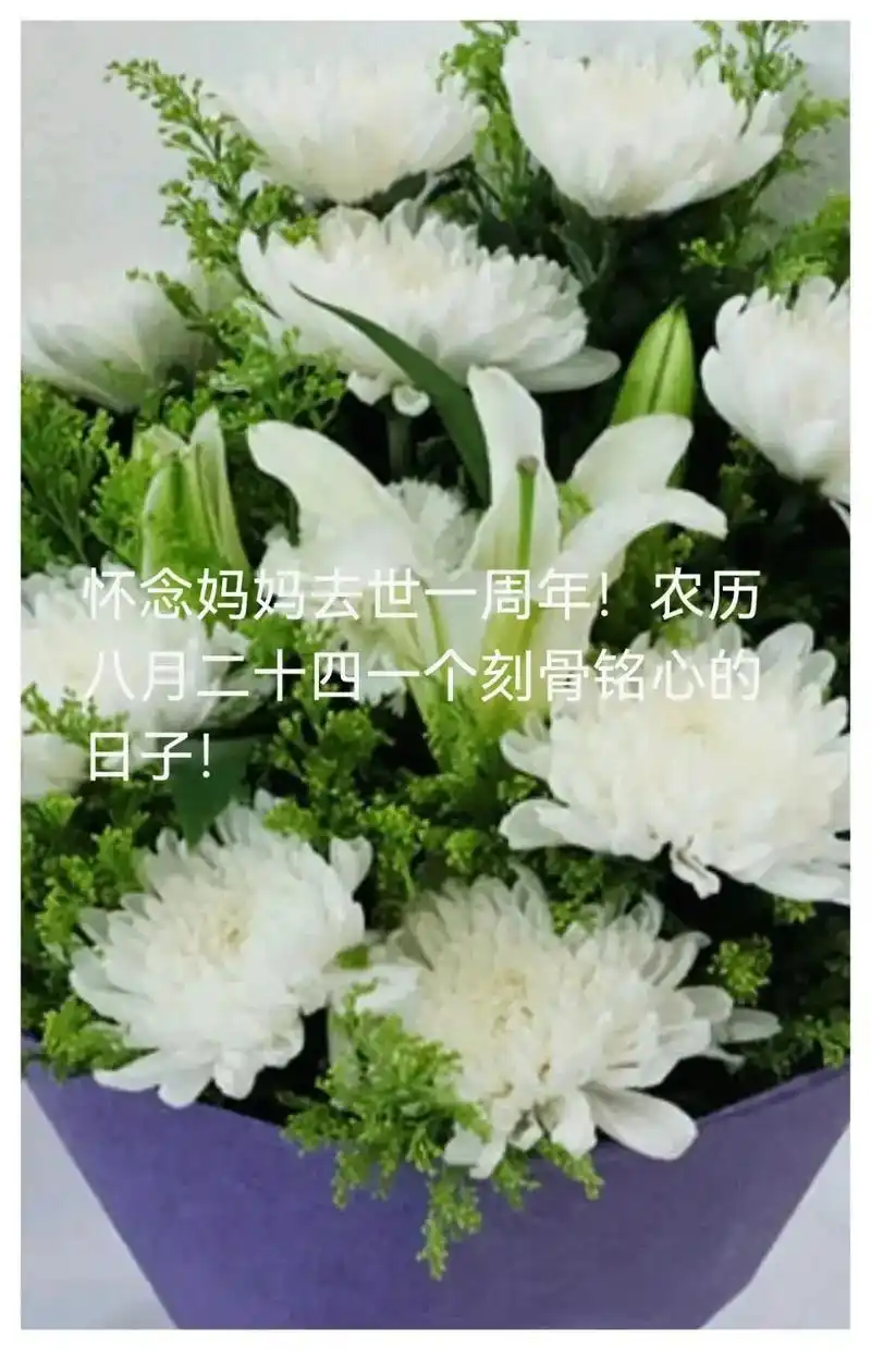 妈妈周年祭.周年祭,思念母亲.目之所及,皆是回忆,心之所想, - 抖音