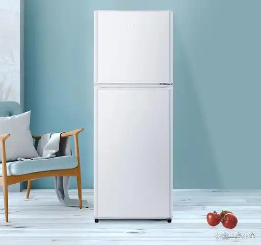海尔二门小冰箱bcd-137tmpf,137l大空间,满足日常存储需求