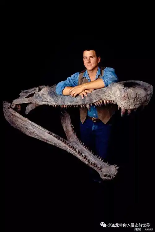 玛卡什么样子的图片,生活在非洲的史前巨鳄能吞恐龙-相术-荣耀易学