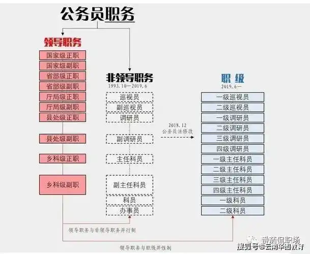我国公务员的级别和职级,你了解多少?