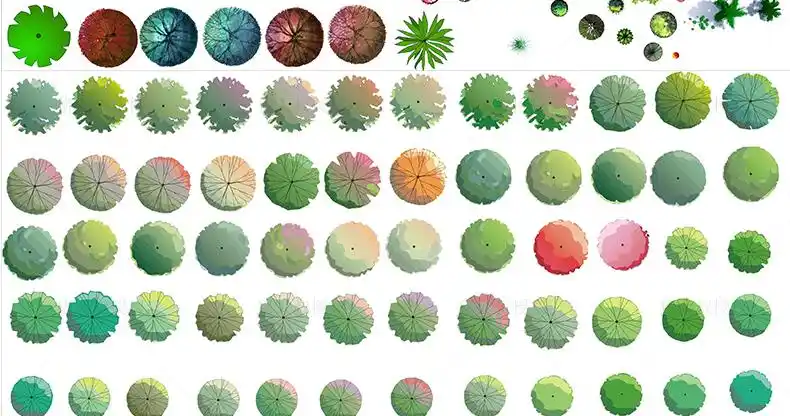 园林景观彩平图psd素材植物手绘辅装ps后期立面平面图设计效果图