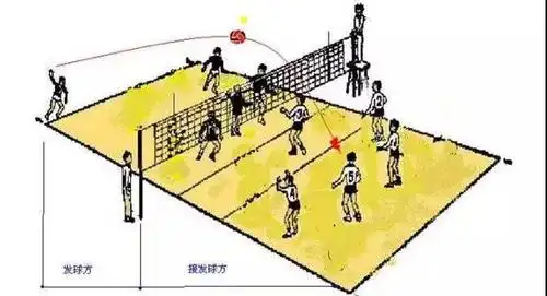 5人气排球站位图