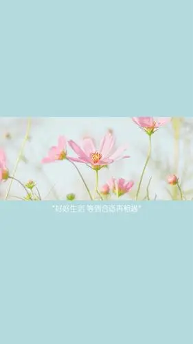 适合朋友圈发的正能量配图
