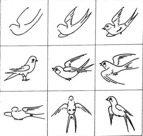 燕子简笔画画法简单