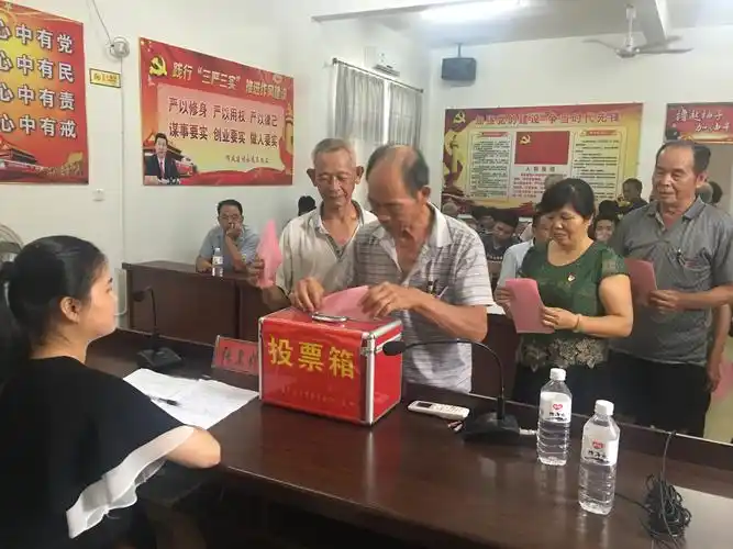 选好领头雁下河乡村级党组织换届选举圆满完成啦