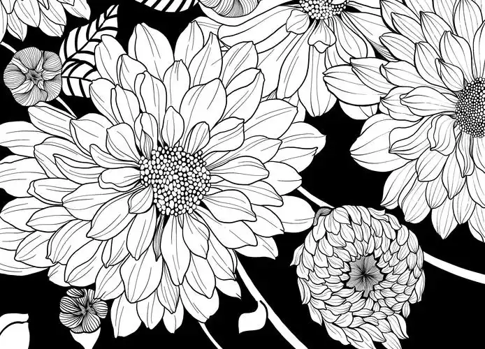 零基础线描画入门分步骤讲解线描雏菊快来临摹学习吧