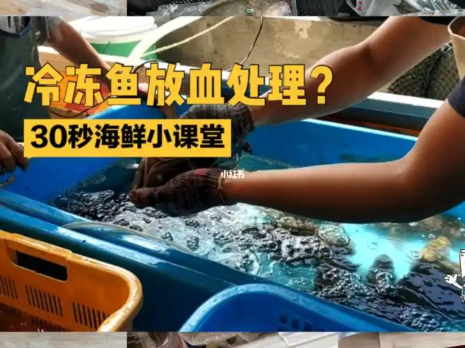 放血的冷冻鱼就是这个意思啦