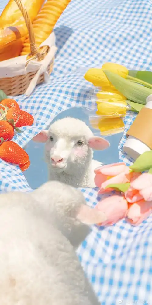羊- 堆糖,美图壁纸兴趣社区