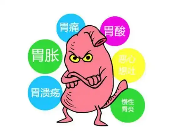 中老年人慢性胃炎怎么办保护胃还得是nc苏芙卫三七白及胶囊