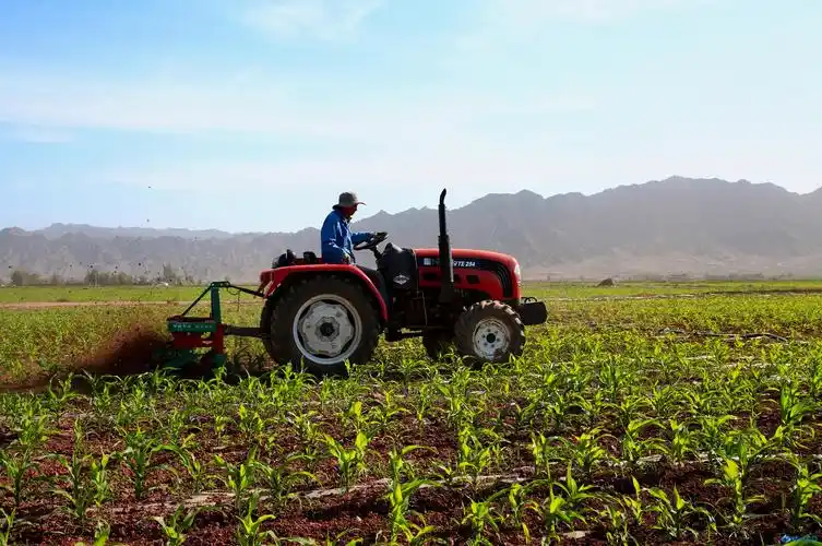 张掖甘州:高标准农田机械作业忙