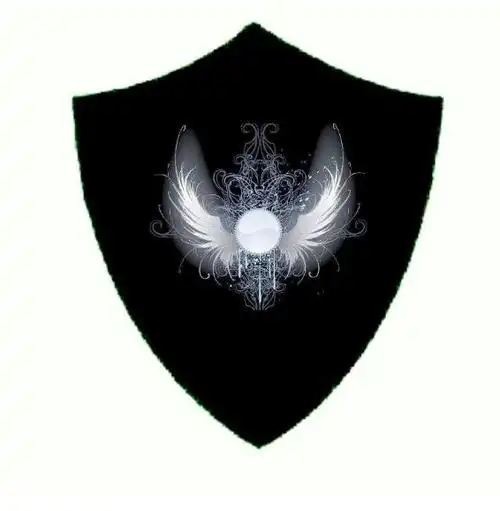 萌学园之圣光公主