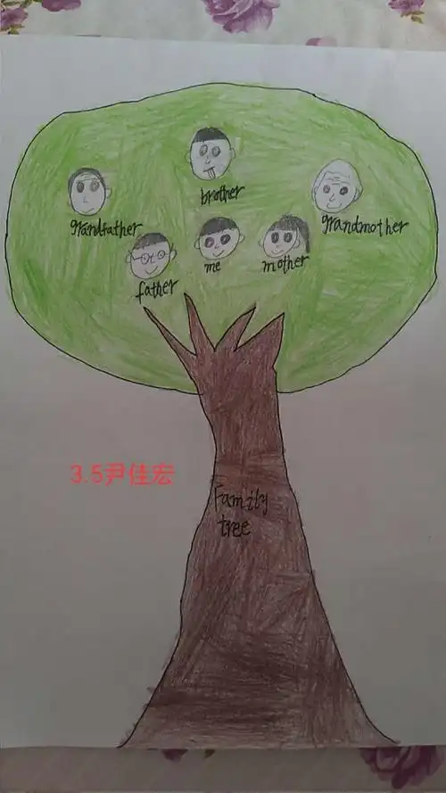 弘毅学校停课不停学,三年级英语优秀作业展之家庭树篇