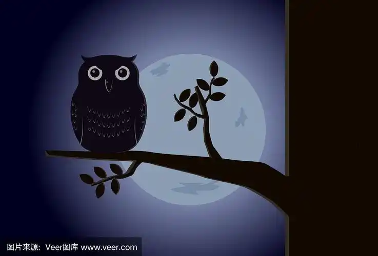 夜间向量上的猫头鹰