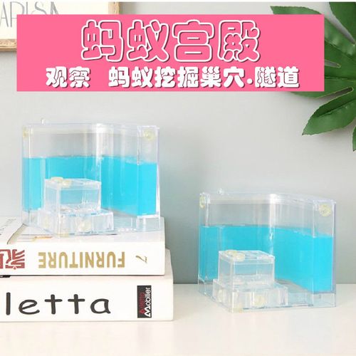大蚂蚁城堡蚂蚁活体别墅蚂蚁工坊家园庄园蚁后巢生态玩具大号工坊