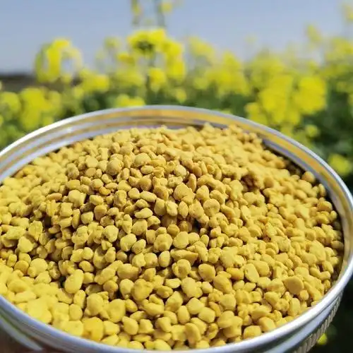 新油菜蜂花粉纯正天然正品食用女人可破壁蜜蜂花粉养蜂包邮500克