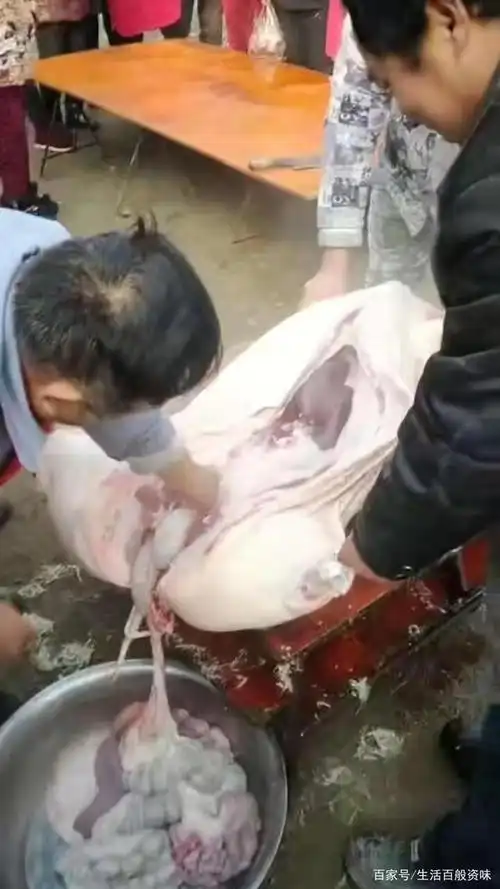 杀年猪,终于见到小时候的场景