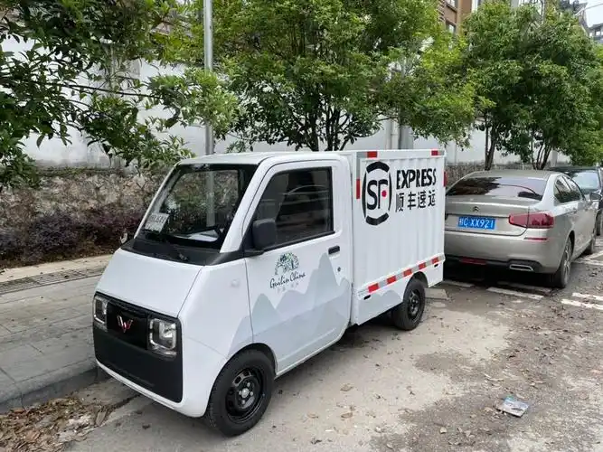 五菱牌"快递车"已上路,能遮风能挡雨还跑得快,比三轮车强多了_太平洋