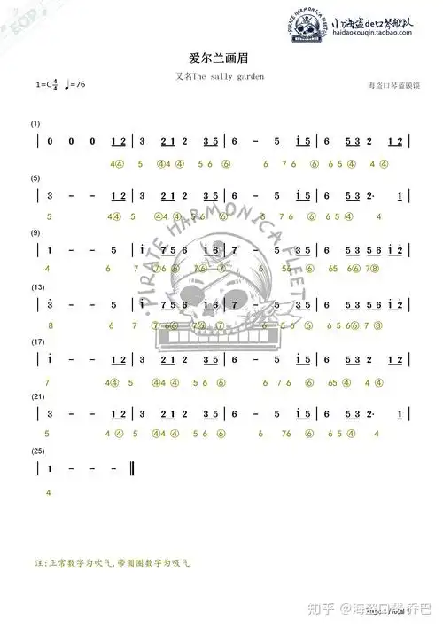 怎样在最短时间内学会口琴曲爱尔兰画眉