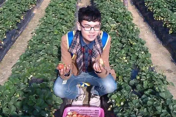 网红西红柿哥去哪里了 奇装异服怎么不见了