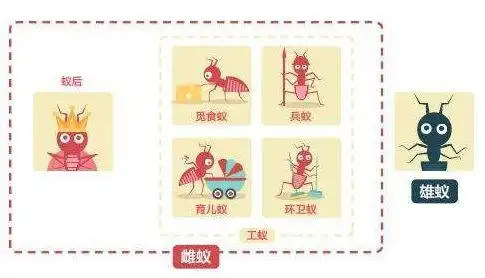 蚂蚁分工蜜蜂分工到了人类社会,这一特征表现得更加明显.